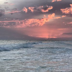 Meet your Posher, Joseph